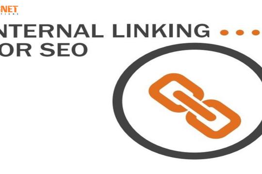 Hướng Dẫn 6 Chiến Lược Về Internal Link Để Đạt Thứ Hạng Cao Hơn