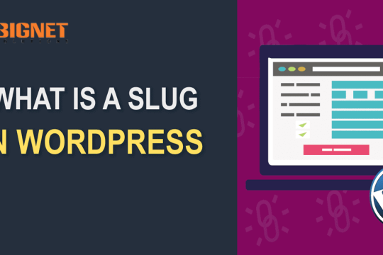 Slug Là Gì? Tối Ưu WordPress Slug