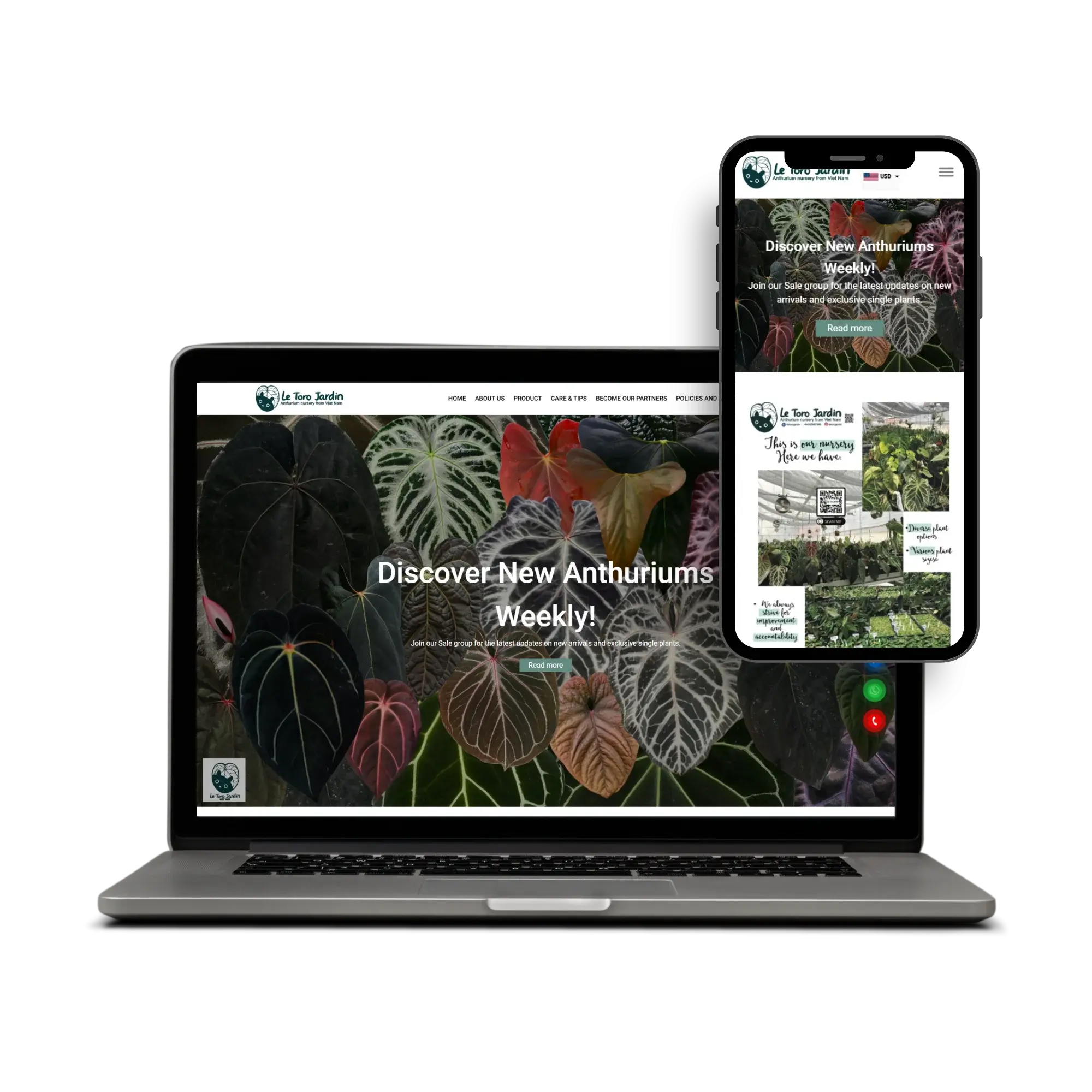 image-project-tkw-02-1