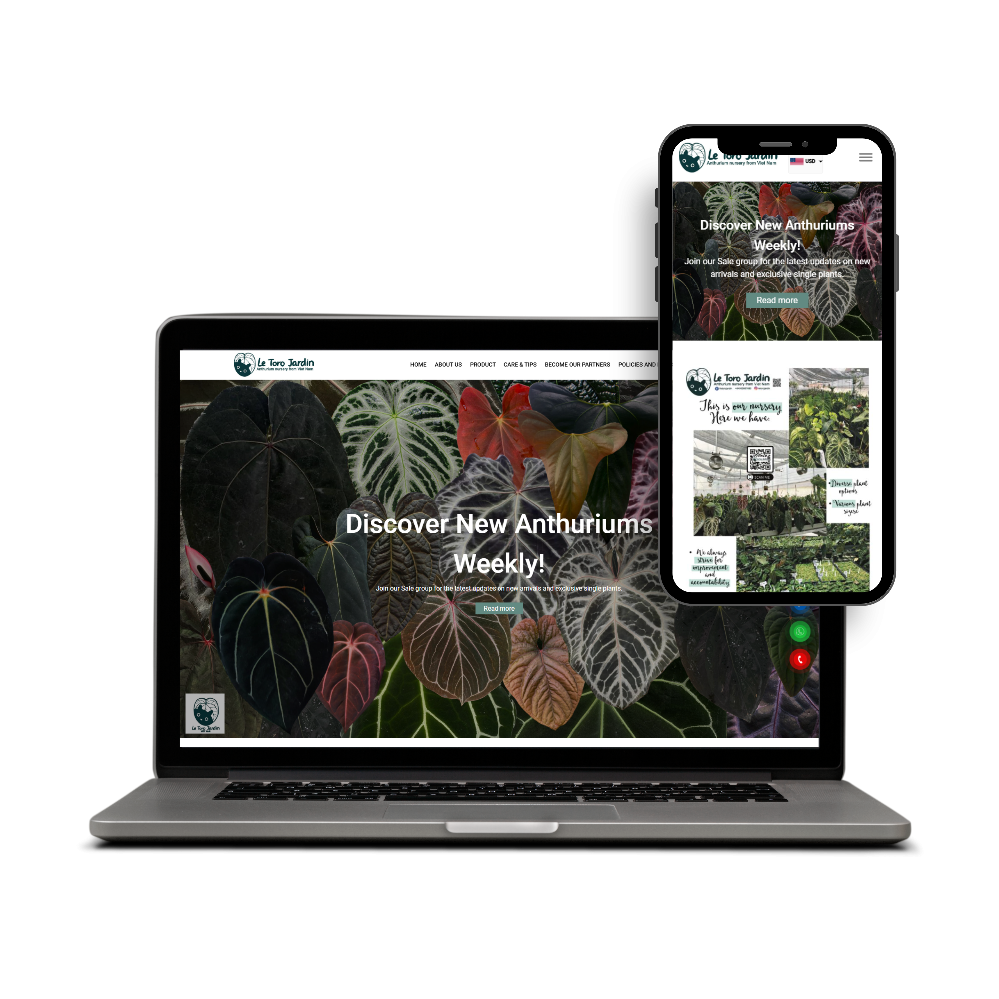 image-project-tkw-02