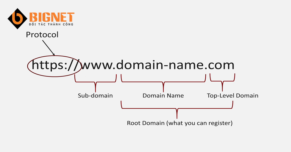 Domain Name