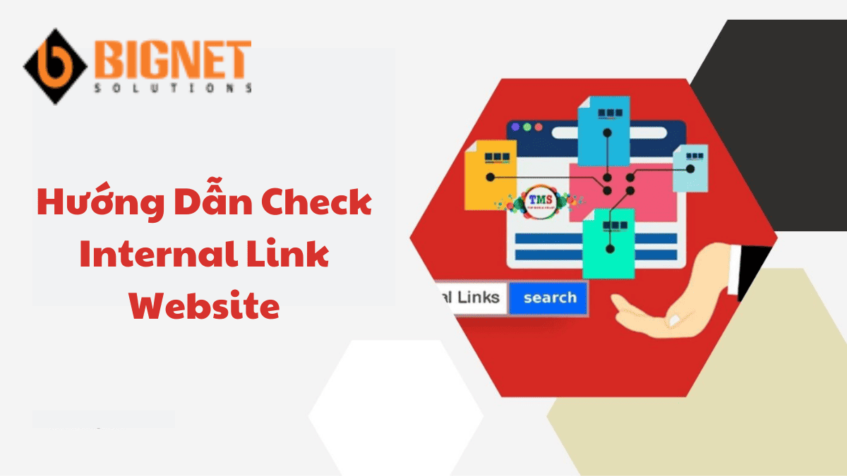Hướng Dẫn Check Internal Link Website
